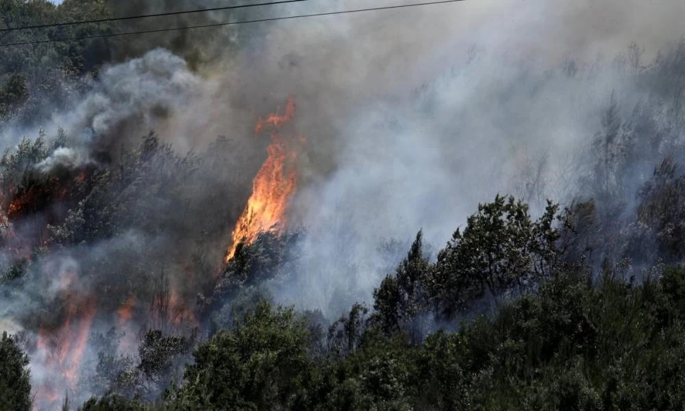 Η πυρκαγιά στο Βαρνάβα από ψηλά όπως την "είδε" το drone της Πυροσβεστικής